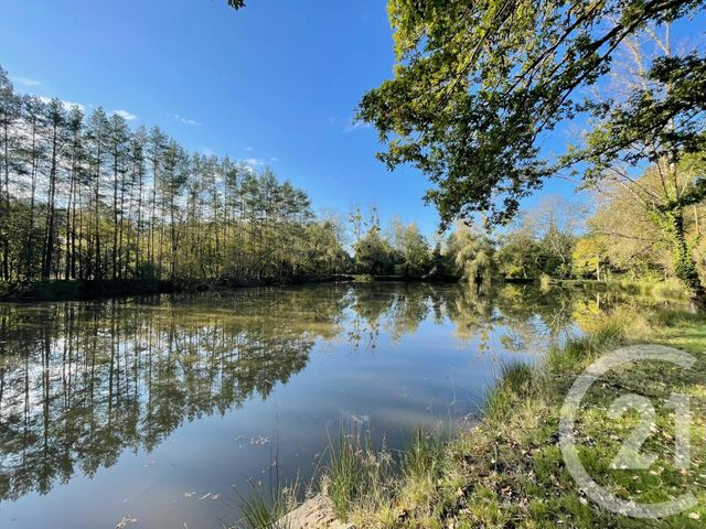 terrain à vendre - 8740.0 m2 - LANGON - 41 - CENTRE - Century 21 Sologne Immobilier