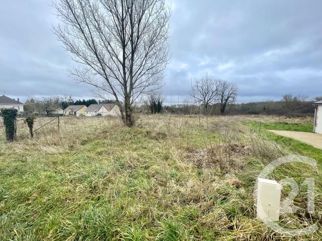 terrain à vendre - 7492.0 m2 - MUR DE SOLOGNE - 41 - CENTRE - Century 21 Sologne Immobilier