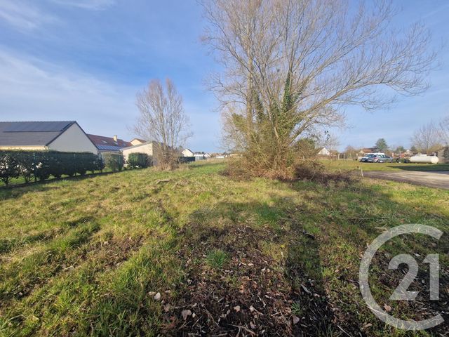 terrain à vendre - 1500.0 m2 - PRUNIERS EN SOLOGNE - 41 - CENTRE - Century 21 Sologne Immobilier